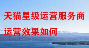 天貓星級運(yùn)營服務(wù)商